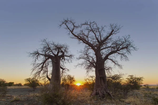 Lever Soleil Île Kukonje — Photo