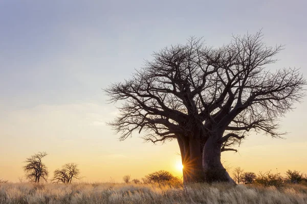 Baines Kamp Botswana Güneş Doğarken — Stok fotoğraf