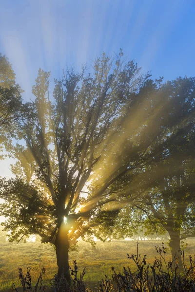 Sun Rays Mist South Africa — Stock Photo, Image