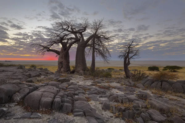 Rot Bemalten Himmel Den Frühen Morgenstunden Kubu Insel Botswana — Stockfoto