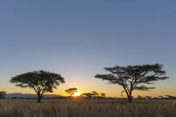 Lever Soleil Afrique Afrique Sud — Photo