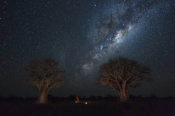 Baines Camping Sous Voie Lactée Botswana — Photo