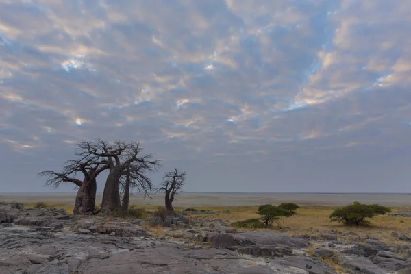 Nuages Avant Lever Soleil Kubu Island Botswana — Photo