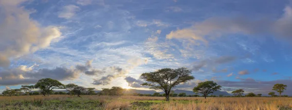 Bushveld Sunrise Felhők Dél Afrikai Köztársaság — Stock Fotó