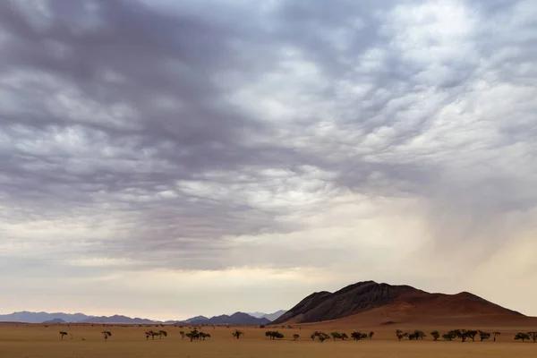 Clouded Sky Namib Namibia — Stock Photo, Image