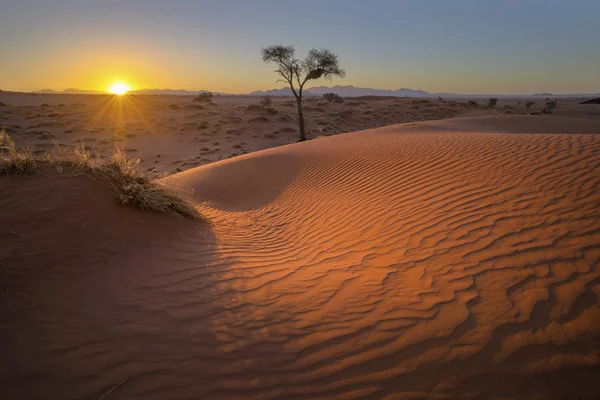 Luz Pôr Sol Sobre Padrões Vento Areia Namíbia — Fotografia de Stock