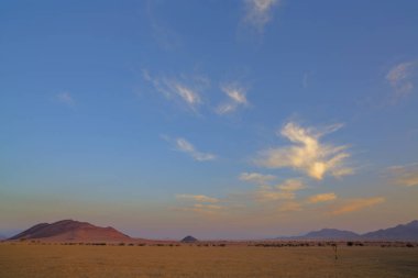 Sabah Namib Çölü Namibya'da ışığı