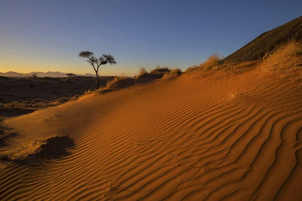 Sanddynen Vid Solnedgången Namibia — Stockfoto