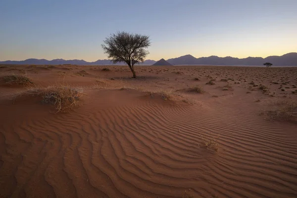 Rode Zand Blauwe Bergen Namibië — Stockfoto