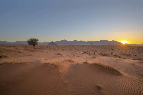 Vento Spazzato Modelli Tramonto Namibia — Foto Stock