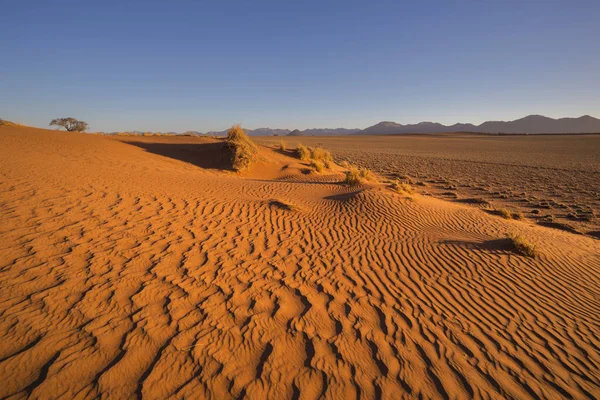 Modelli Spazzati Dal Vento Nella Sabbia Namibia — Foto Stock