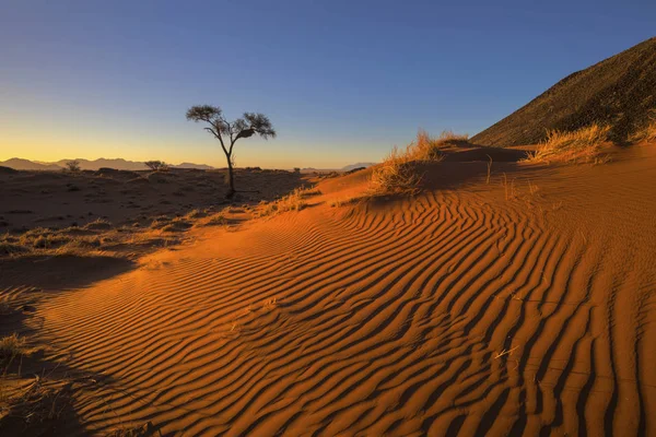 Sista Ljuset Dagen Vind Svepte Mönster Sanden Namibia — Stockfoto