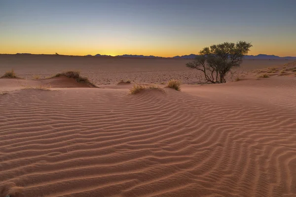 Dune Sable Rouge Après Coucher Soleil Namibie — Photo