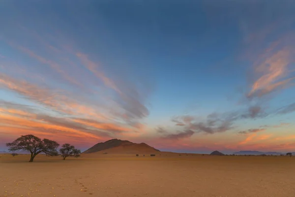 Cores ao nascer do sol no deserto — Fotografia de Stock