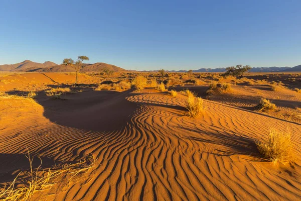 Viento barrido patrones en la duna — Foto de Stock