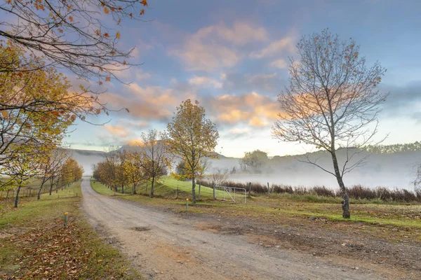 Autumn colored trees and clouds colored by the sun — Stock Photo, Image