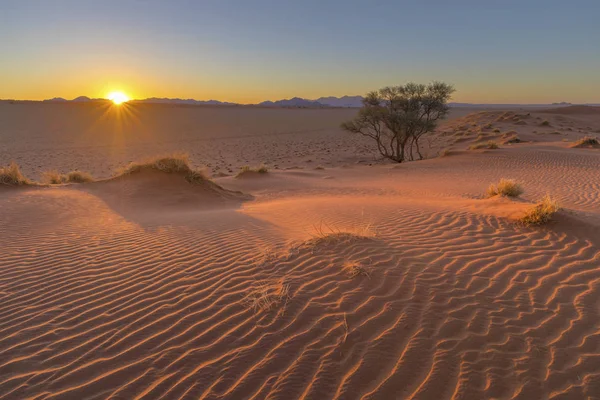 Sol starburst por do sol nas dunas — Fotografia de Stock