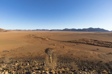 Çölde kuru nehir yatağı