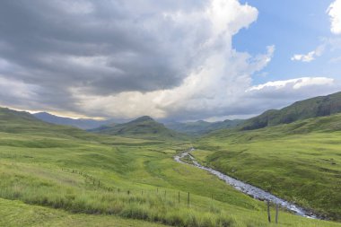 Yeşil bir vadide dağ deresi akışı