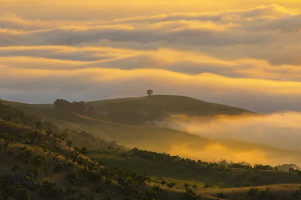 Dimma i dalen vid soluppgången — Stockfoto