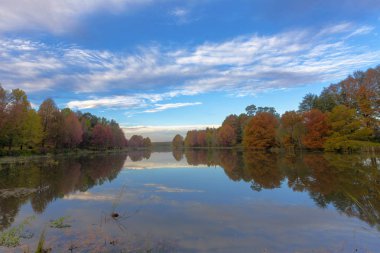 Göletin yanındaki sonbahar renkli ağaçlar