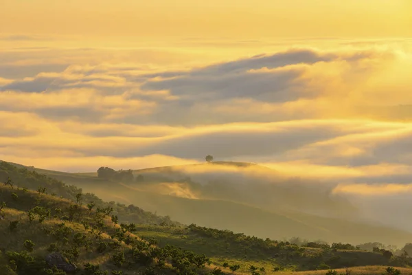 Yellow sunlight on low clouds in the valley — Stock Photo, Image
