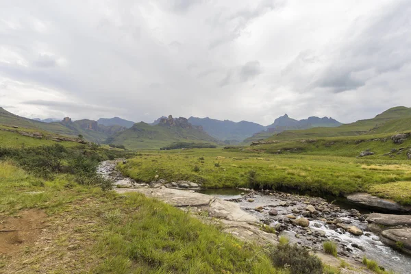 Arroyo de montaña en un valle verde —  Fotos de Stock