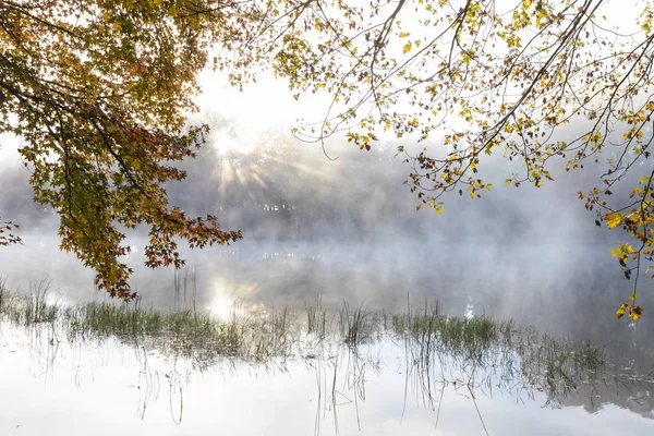 Su üzerindeki siste güneş ışınları