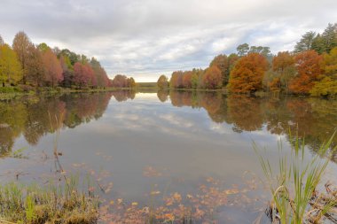 Sonbahar renkli ağaçlar göletsu üzerinde yansıması