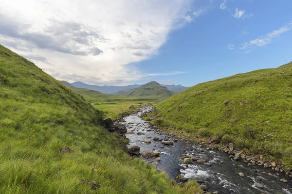 River flow from the mountain in the green valley — Stock Photo, Image