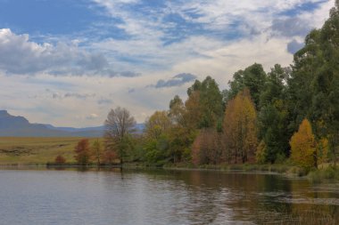 Suyun yanındaki sonbahar renkli ağaçlar