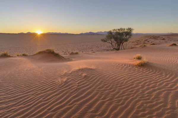 Zonsondergang op het Duin — Stockfoto