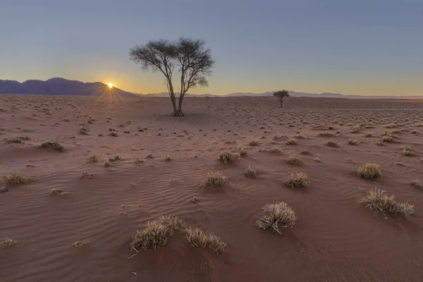 Tramonto Nel Deserto Asciutto Del Namib — Foto Stock