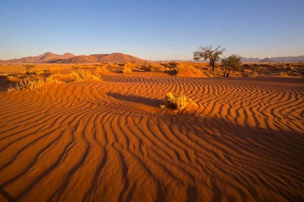红沙中的对称模式 — 图库照片