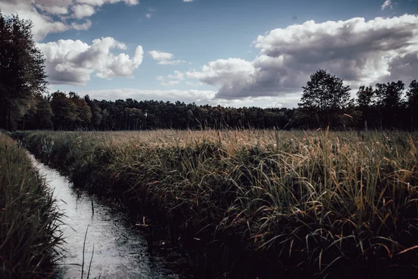 Büyük bulutlar ve mavi gökyüzü ile bir alanda Creek