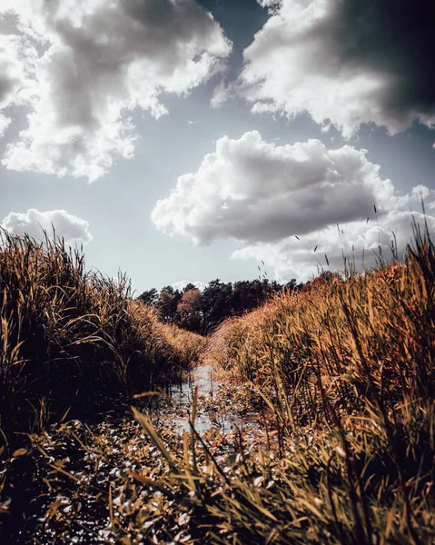 Büyük bulutlar ve mavi gökyüzü ile bir alanda Creek