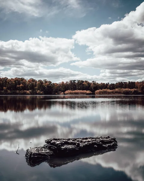 Yumuşak su ve ahşap doku ve ağaçlar ile bulutlu bir günde ahşap bir parça ile Göl