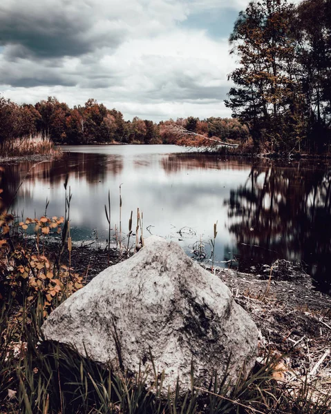 Yumuşak su ve ahşap doku ve ağaçlar ile bulutlu bir günde taşlı göl