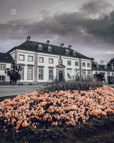 Hannover şehrinde sarı ve turuncu çiçek yatağı olan bir parkta eski mimari