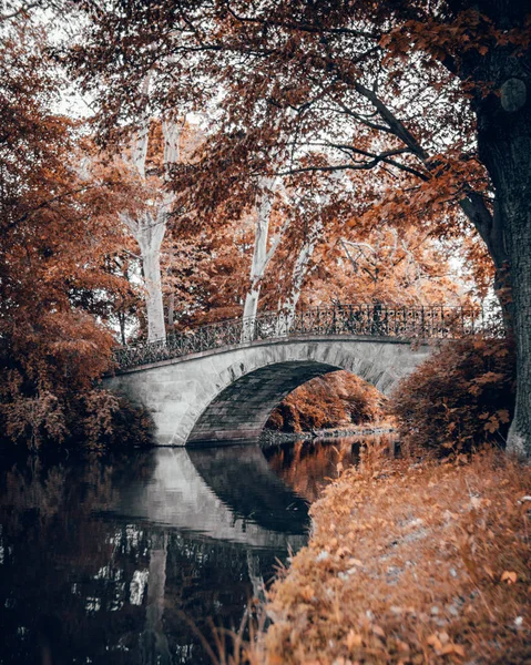 Hannover şehrinde bir parkta su ve portakal otu ve ağaçlar üzerinde yansımaları ile eski köprü