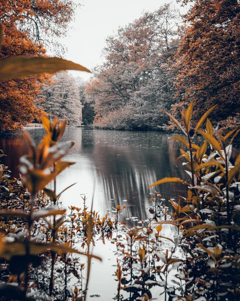 Portakal ağaçları ve otlar ile yumuşak su gölü