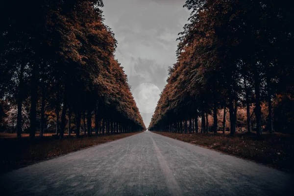 Portakal ağaçları ve bulutlar arasında ay ile uzun yol