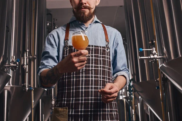 Barmen tarafından tutulan bir bardak biranın yakın çekim.