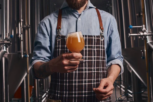 エプロンのバーテンダーは、自分の前でそれを保持するビールの品質をチェックします. — ストック写真