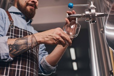 Barmen musluktan bira servis.