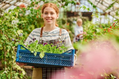 Bahçıvan lahana bir sandık aptal tutar.