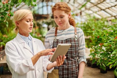 Bahçıvan genç asistanı hasat expercted sonuçları gösterir.