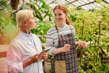 Bahçıvan genç asistanı hasat expercted sonuçları gösterir.