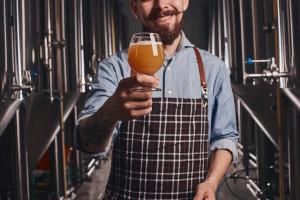 Barman no avental verifica a qualidade da cerveja segurando-a na frente dele mesmo . — Fotografia de Stock