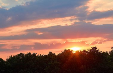 Ormanda güzel bir gün doğumu